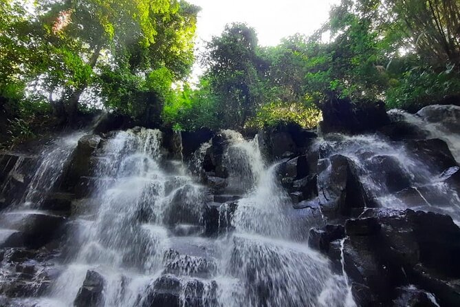 Trekking and Tegallalang Rice Terace Field Including Cascade Waterfall Tour - Tour Highlights