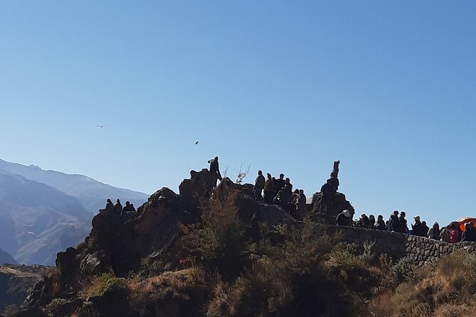 Trekking At The Colca Colca 2day And 1nights - Cancellation Policy for the Colca Canyon Trek