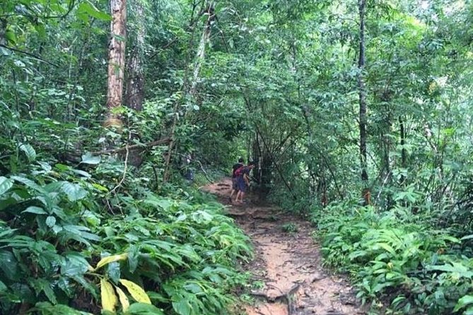 Trekking at the Monk Trail and Doi Suthep Temple Private Tour - Discovering Pha Lat Temple