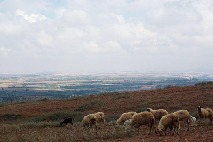 Trekking Berber Trails and Embracing Cultural Traditions - Atlas Mountains: Natures Magnificence