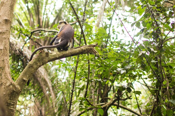 Trekking Eco Volta Adventure Tour From Accra - Logistics
