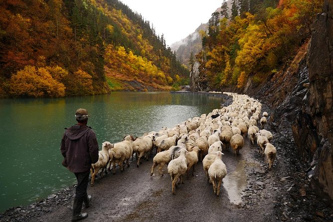 Trekking Group Tour From Tusheti to Khevsureti via Atsunta Pass - Accommodation Details