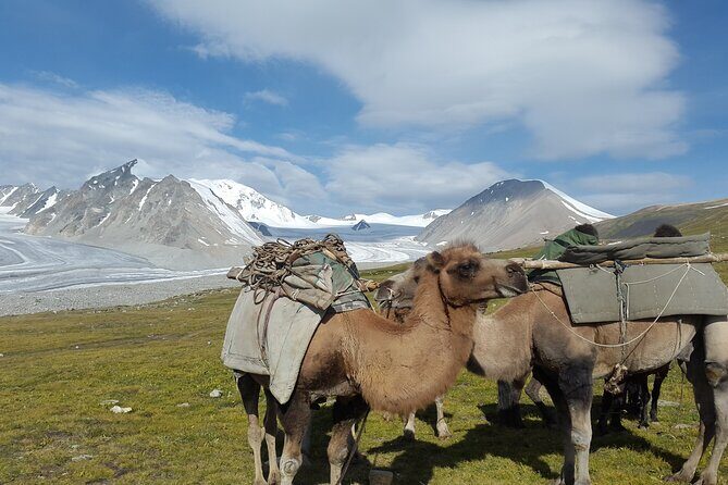 Trekking in Altai Tavan Bogd - What to Expect in Detail