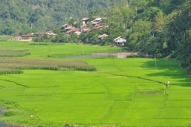 Trekking In Ba Be National Park 3 Days - The Sum Up