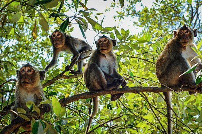 Trekking In Cat Ba National Park 3 Days - Day 3: Exploring More of Cat Ba Island