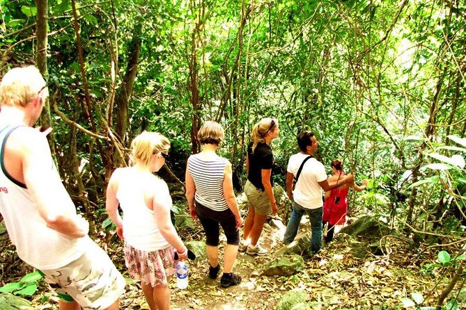 Trekking In Cat Ba National Park 3 Days - Additional Tips and Recommendations