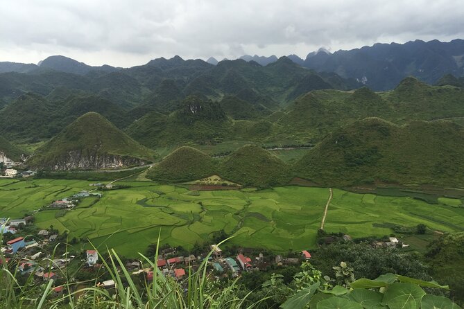Trekking in Ha Giang 5 Days 4 Nights - Day 4: Taking in Ethnic Culture