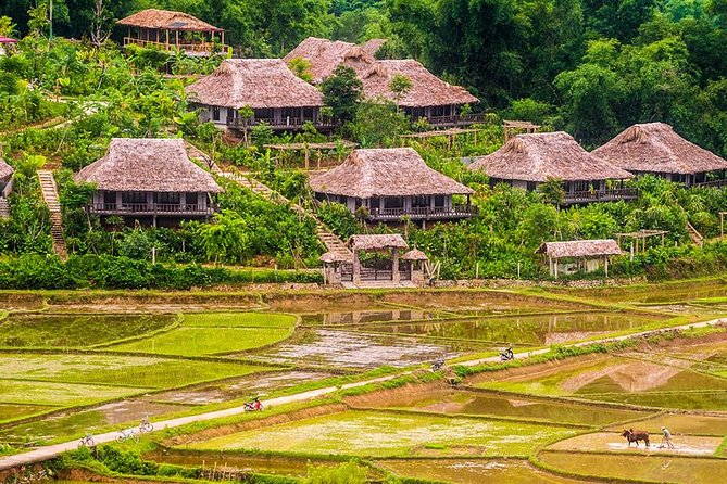 Trekking In Mai Chau - Pu Luong Nature Reserve Tour 3 Days - Day 2: Trekking in Pu Luong Nature Reserve