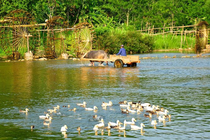 Trekking In Mai Chau - Pu Luong Nature Reserve Tour 3 Days - Day 3: Immersion in Local Culture