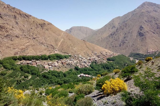 Trekking in Morocco / Atlas Mountains and Sahara Trek (5days) - Essential Items for a Successful Trek