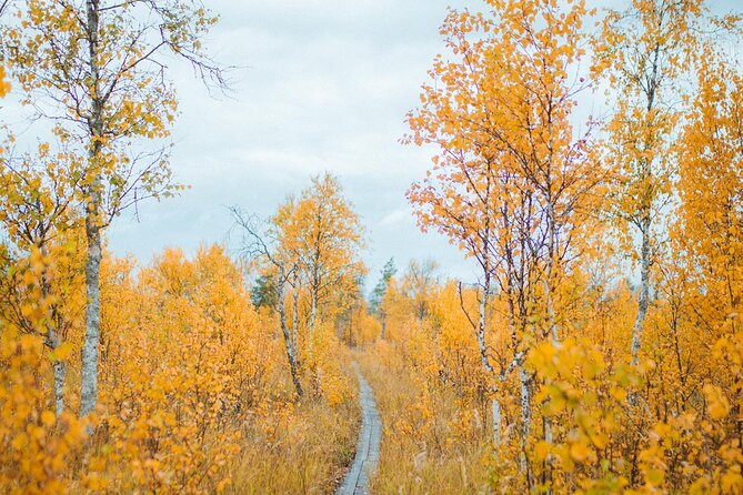 Trekking in the Heart of Nature - Pickup and Drop-off