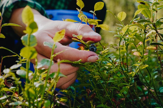 Trekking in the Heart of Nature - Frequently Asked Questions