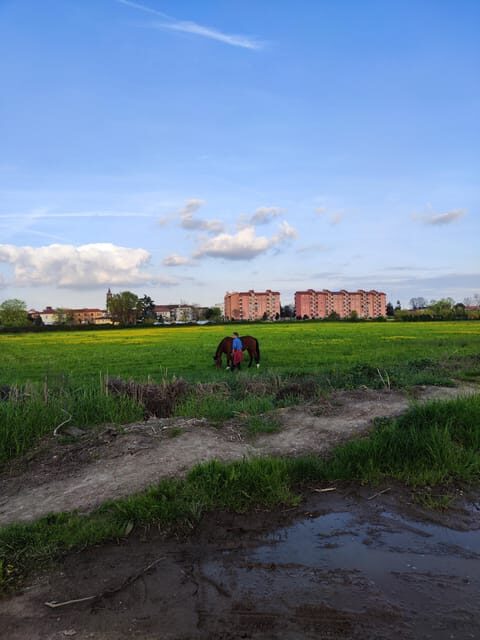 Trekking in the Wood with picnic on the turtles lake - A Closer Look at the Tour Experience