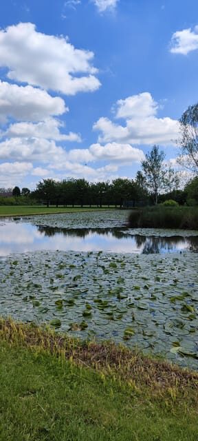 Trekking in the Wood with picnic on the turtles lake - Who Will Love This Tour?