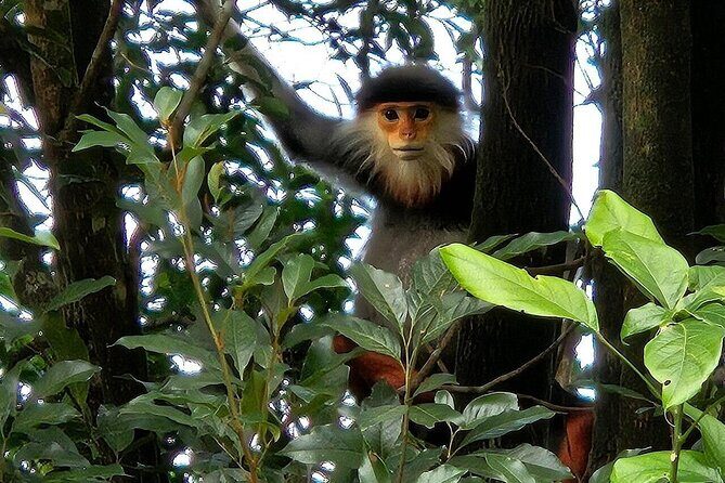 Trekking Journey Discover Bach Ma National Park from Hue - In-Depth Breakdown of the Itinerary