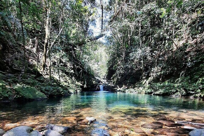 Trekking Journey Discover Bach Ma National Park from Hue - Final Thoughts: Who Is This Tour Ideal For?