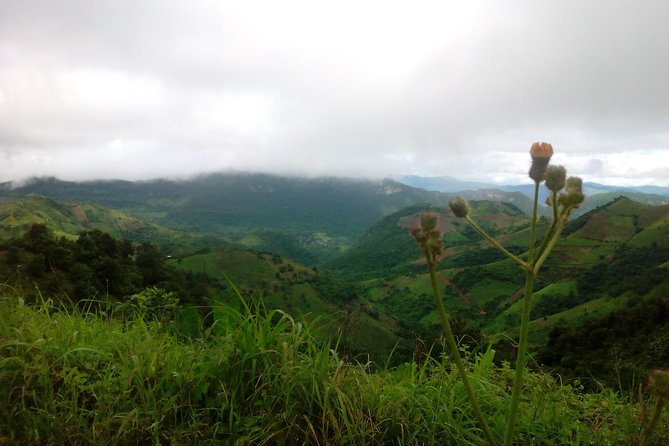 Trekking Kalaw to Inle Lake - Pricing and Availability Details