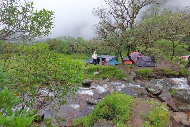 Trekking Lembah Lohe - Good To Know