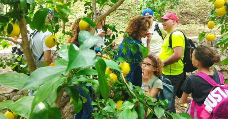 Trekking Lemon Tour - Activity Details