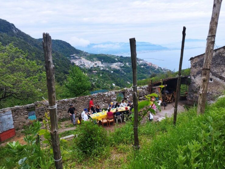 Trekking Lemon Tour - Lemon Grove Experience