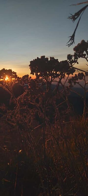 Trekking mount sangkareang (Tetebatu crater-rim) 2D1N - Who Will Love This Experience?  