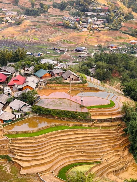 Trekking Sapa 1 Day - the Best Terraced Rice Field - Overview of Trekking Sapa