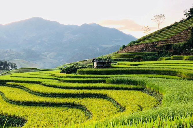 Trekking Sapa 1 Day - the Best Terraced Rice Field - Why Trekking Sapa Is a Must-Do