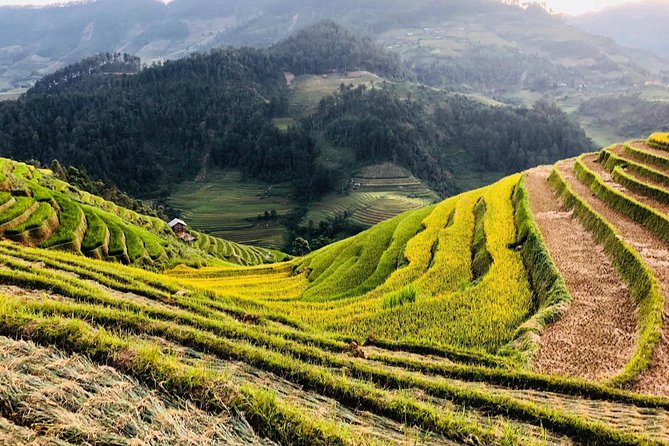 Trekking Sapa 1 Day - the Best Terraced Rice Field - Captivating Views and Hidden Gems of Sapa