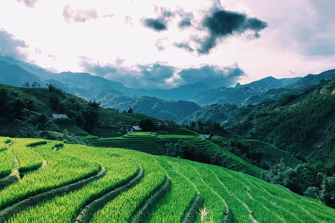 Trekking Sapa 1 Day - the Best Terraced Rice Field - The Sum Up