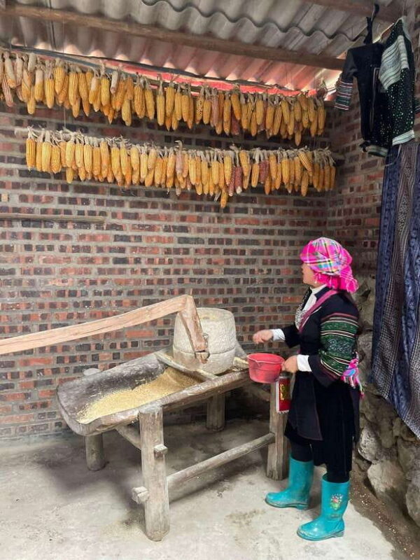 Trekking Sapa 1 Day With Local Guide, Terraced Rice Fields - The Sum Up: Who Will Love This Tour?