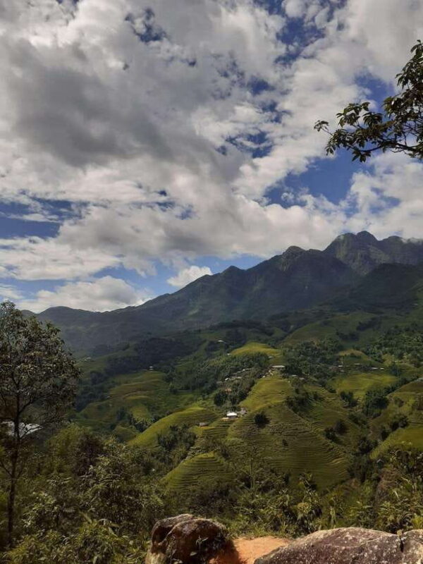 Trekking Sapa 1 Day With Local Guide, Terraced Rice Fields - Practical Tips for Tour Participants