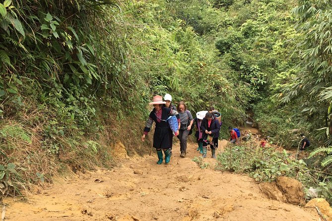 Trekking Sapa: Cat Cat - Lao Chai Ta Van 2D1N ( Homestay ) From Hanoi City - The Sum Up