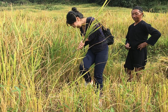 Trekking Sapa: Cat Cat - Lao Chai Ta Van 2D1N (Hotel 3 Star) From Hanoi City - Common Questions