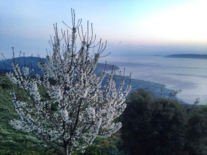 TREKKING - Transportation