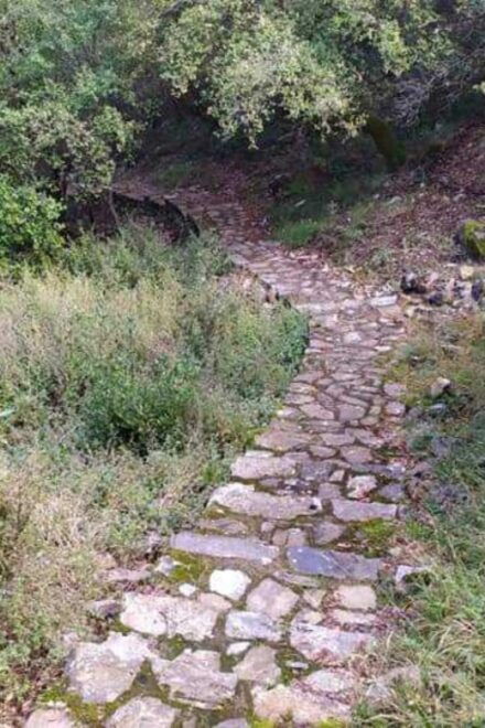 TREKKING - Important Information