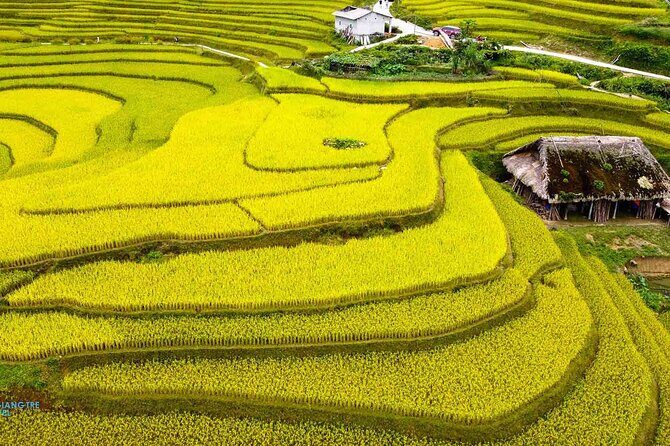 Trekking the Untouched Outskirts of Vietnam - An In-Depth Look at the Tour Experience