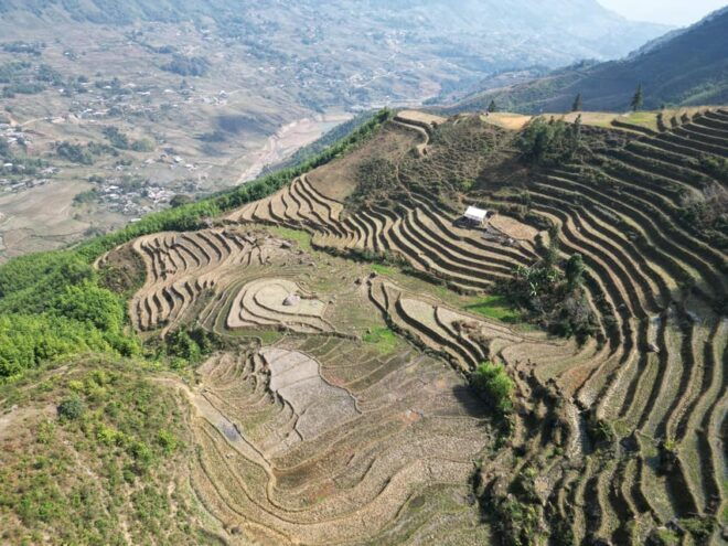 Trekking Through Rice Terraced Fields - 1 Day Private Tour - Experience and Activities