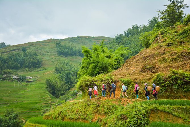 Trekking Through Rice Terraced Fields - 1Day - Overview of the Trekking Route