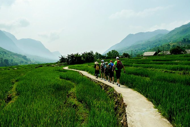 Trekking Through Rice Terraced Fields - 1Day - Best Time to Visit the Rice Terraced Fields