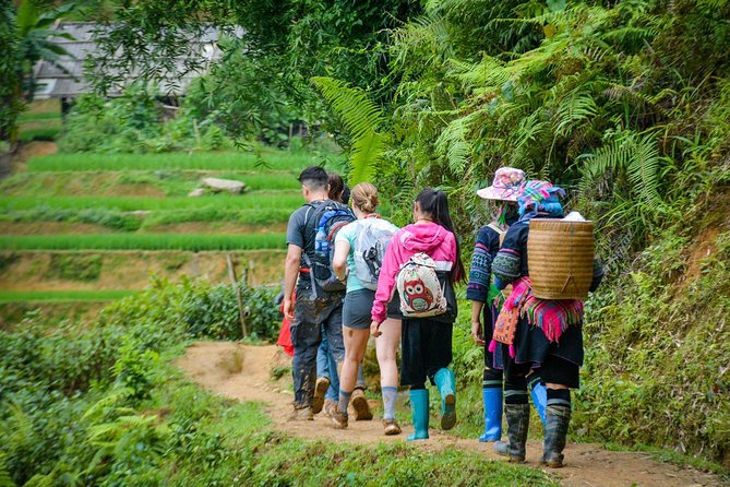 Trekking Through Rice Terraced Fields - 1Day - Wildlife and Flora of the Rice Terraced Fields