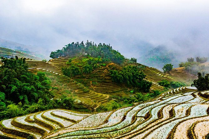 Trekking Through Rice Terraced Fields - 1Day - Safety Precautions and Emergency Contacts