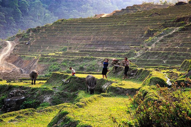 Trekking Through Rice Terraced Fields - 1Day - What to Expect at the End of the Trek