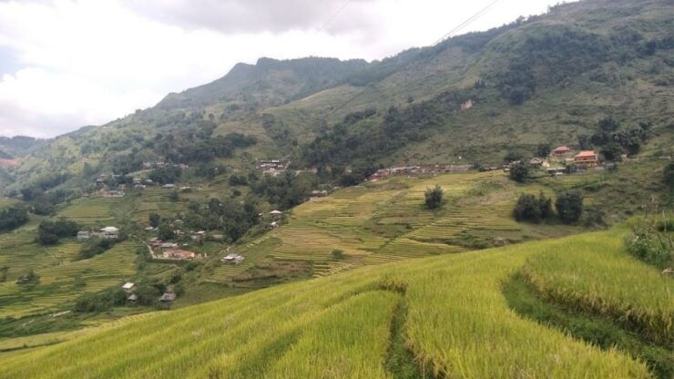 Trekking Through Rice Terraced Fields - Tour Booking Details