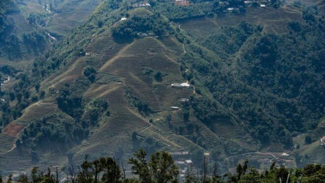 Trekking Through Rice Terraced Fields - Trek Description