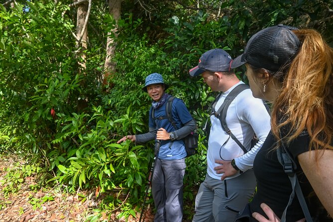 Trekking Tien Son Dinh Phu Quoc - Tour Details and Requirements