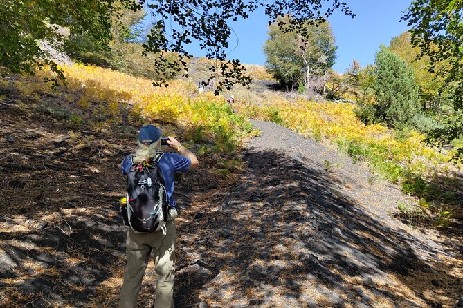 Trekking to Bottoniera Craters - Whats Included in the Tour