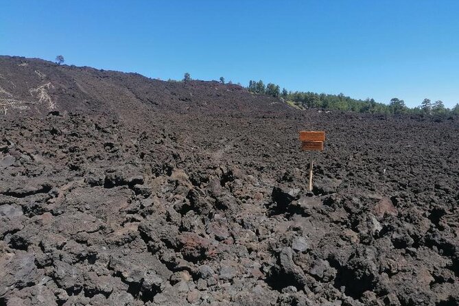 Trekking to Bottoniera Craters - Additional Information for Participants