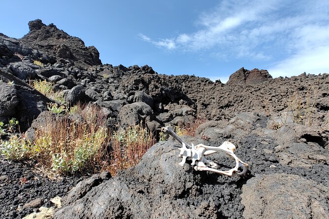 Trekking to Bottoniera Craters - Frequently Asked Questions