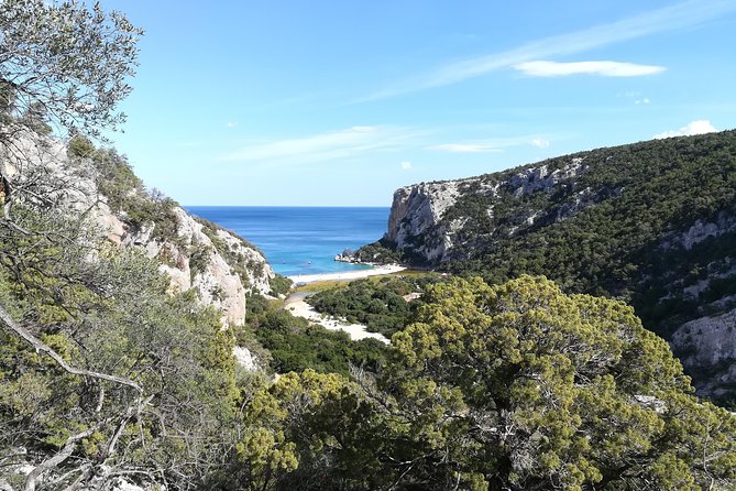 Trekking to Cala Luna - Alternative Return Option by Boat