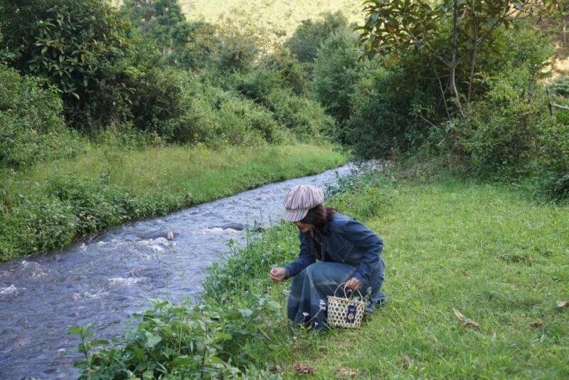 Trekking to Hidden Waterfall & Sturgeon Farm for dog-lovers - Good To Know